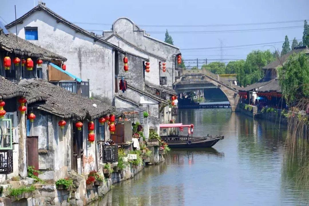 动物帮帮忙保卫家园